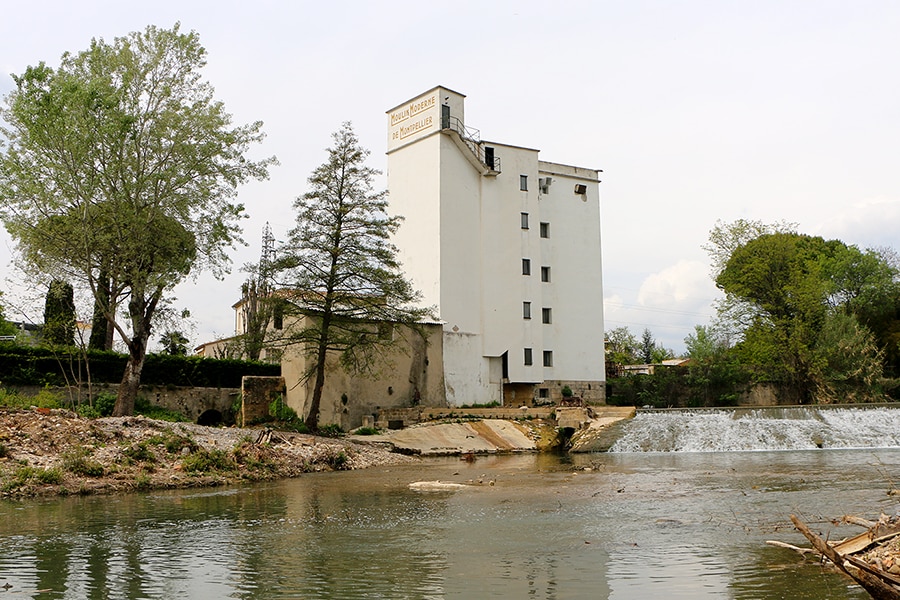 Vue d'ensemble du Moulin depuis les rives du Lez.