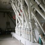 Les tubes appelés Vis à farine qui transportent la farine.