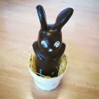 Lapin chocolat noir